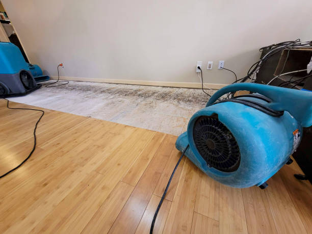 Professional Sewage Cleanup technician working in Milford, ME